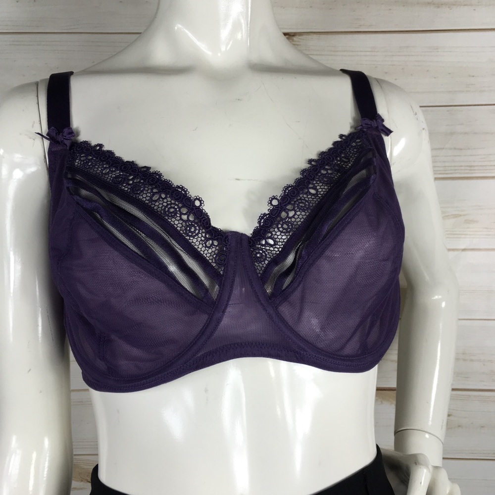 Wacoal Lace and Mesh Underwire Bra